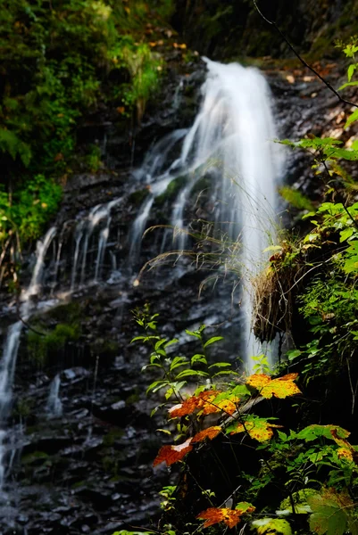 Vattenfall — Stockfoto