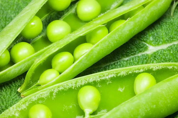 Guisantes verdes —  Fotos de Stock