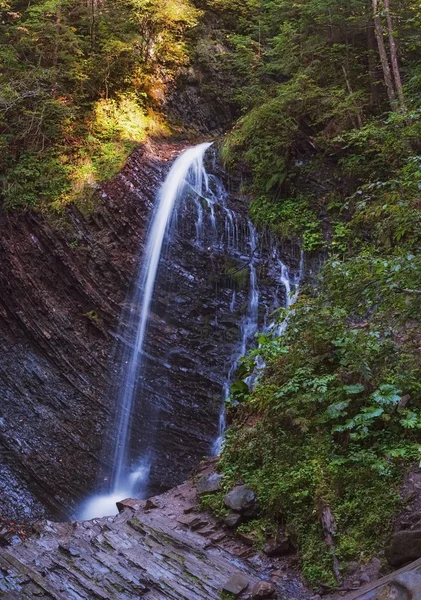 Waterfall — Stock Photo, Image