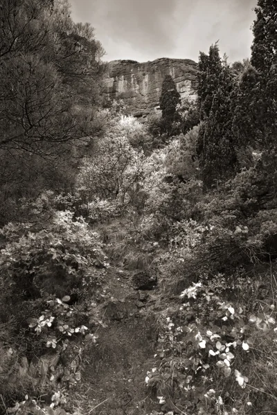 Paesaggio — Foto Stock