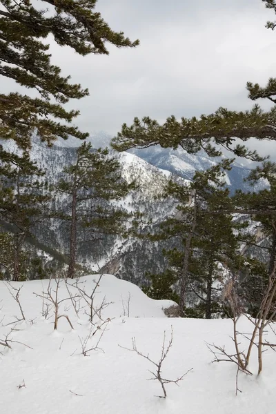 Beautiful mountain landscape — Stock Photo, Image