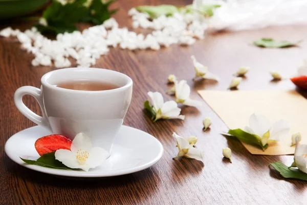 Tasse grünen Tee — Stockfoto