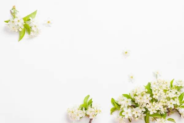 Card in flowers — Stock Photo, Image