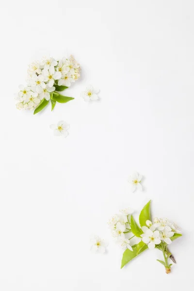 Card in flowers — Stock Photo, Image