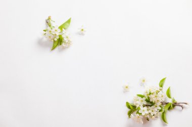 Bahar çiçek kartı