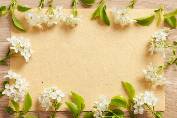 Spring flower card — Stock Photo, Image