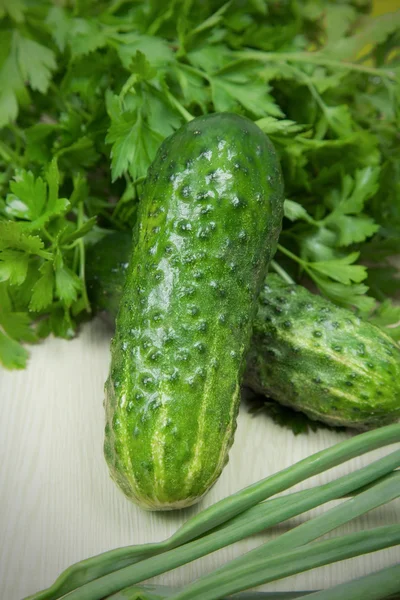 Prachtige groene komkommers — Stockfoto