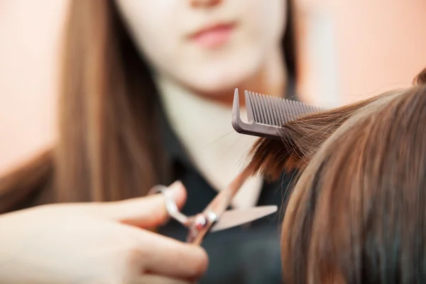 Creating hairstyles hairdresser — Stock Photo, Image