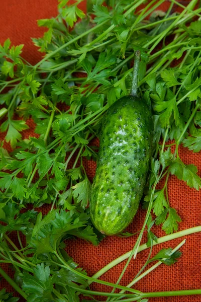 Beautiful green cucumbers — Stock Photo, Image