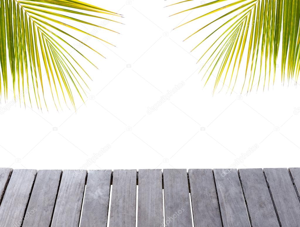 pashapixel