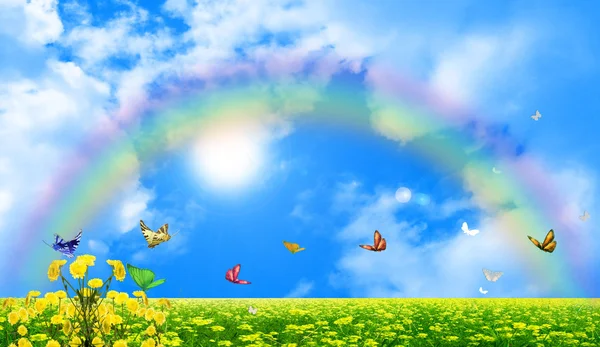 Yaz gününde yeşil açıklık