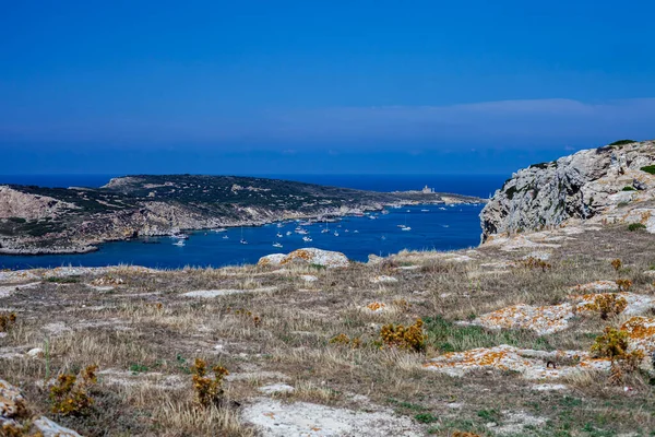 Vista Las Islas Tremiti Isla San Domino Italia Vista Panorámica Fotos de stock libres de derechos