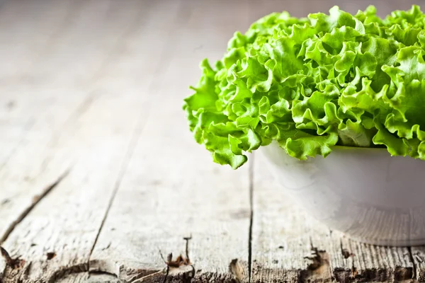 Lettuce salad in a bowl — Stock Photo, Image