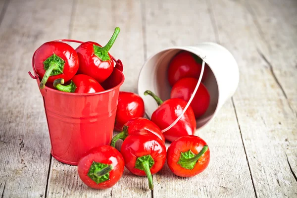 Piments rouges dans de petits seaux — Photo