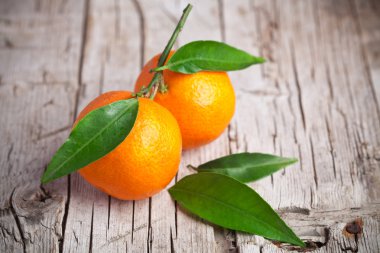 yaprakları taze mandalina 