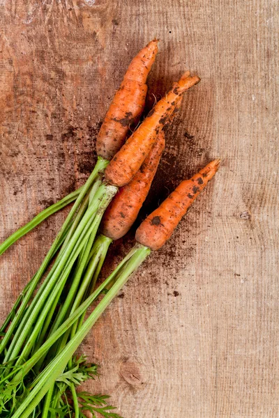Fresh carrots — Stock Photo, Image