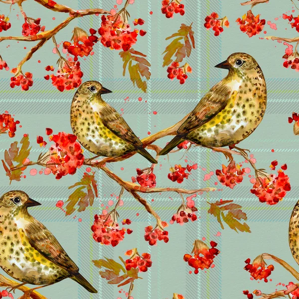 Cute birds watercolor — Stock Image Cute birds watercolor Stock Photo