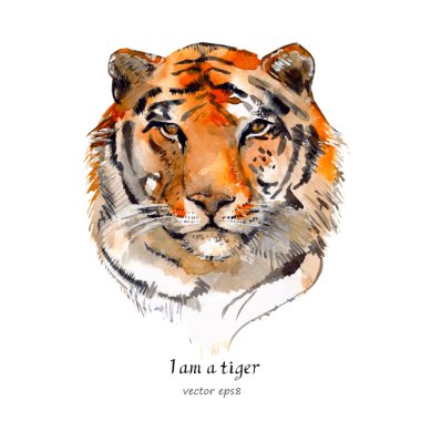 watercolor Portrait of a tiger
