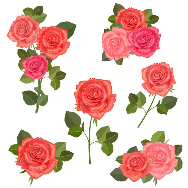 Trzy Róże Rysunek Grafika Kwiaty Róże Rysunki Latwe