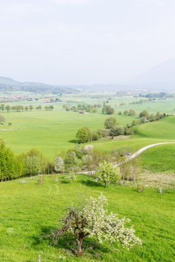 Öfke, Almanya, Bavyera
