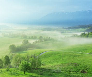 Öfke, Almanya, Bavyera