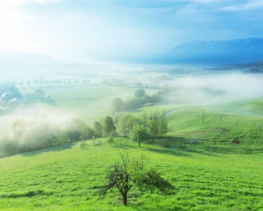 Öfke, Almanya, Bavyera