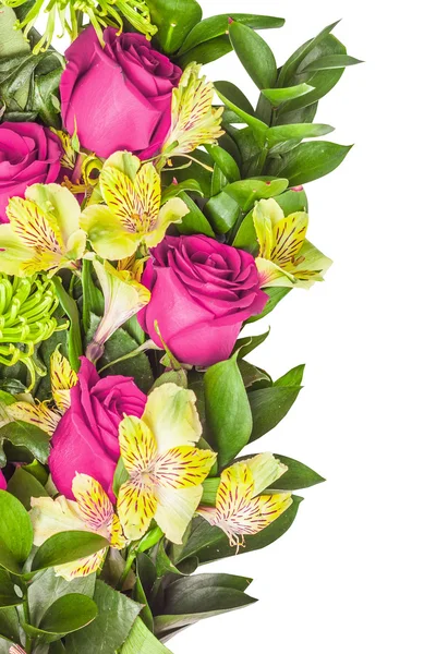 Růžové, zelené, chryzantéma a orchidej — Stock fotografie