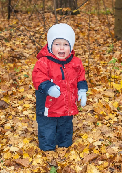 Das einjährige Kind — Stockfoto