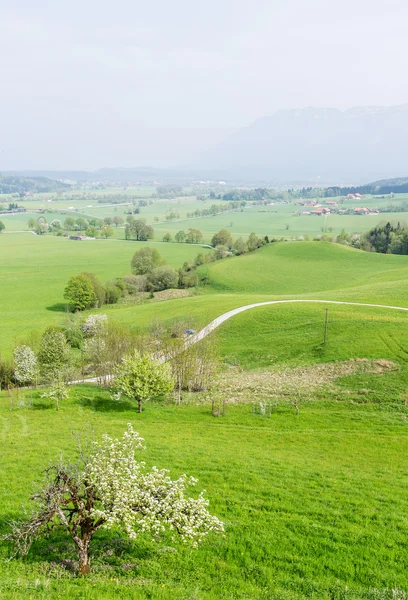 Öfke, Almanya, Bavyera — Stok fotoğraf