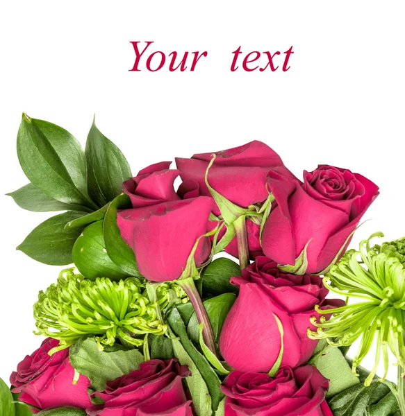 Rose, green chrysanthemum — Stock Photo, Image