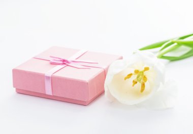 Pembe Hediyelik ve beyaz zemin üzerine lale