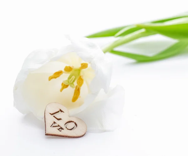Frische Tulpenblüte Und Dekoratives Herz Aus Holz Valentines Oder Love — Stockfoto