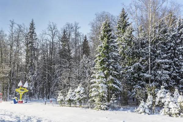 Foresta Invernale Innevata Giornata Sole Brillanti Tronconi Riposo — Foto Stock