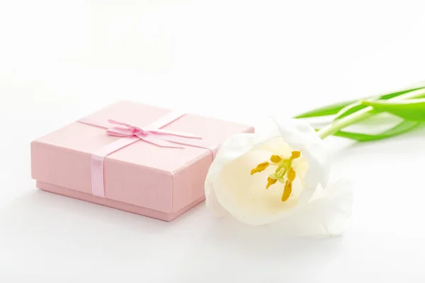 Pink Gift Tulips White Background — Stock Photo, Image