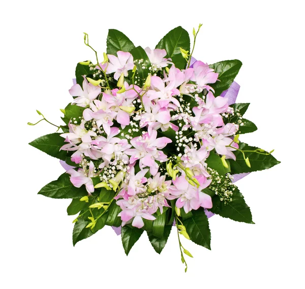 兰花的花束 在白色的 顶部的视图隔离 — 图库照片
