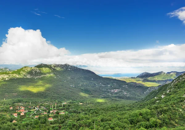 Вид Озеро Скадар Ликены Шкодрес Скадарское Озеро Черногория — стоковое фото