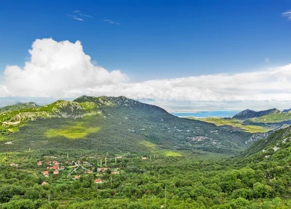 Utsikt Över Skadar Liqeni Shkodres Shkodërsjöns Jezero Sjön Montenegro — Stockfoto