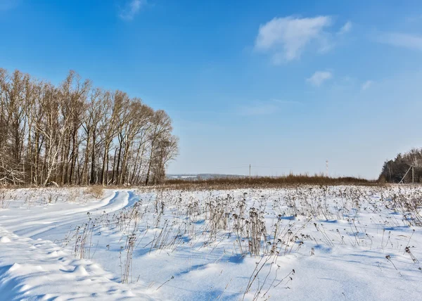 Paesaggio Invernale Innevato Mosca — Foto Stock