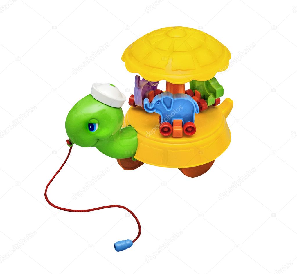 Children toy, rumbling rolling turtle, isolated on white background