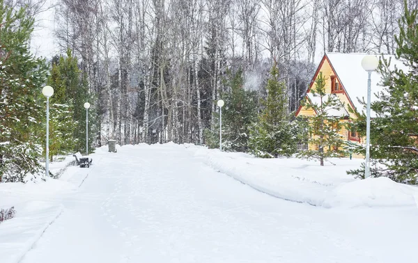 モスクワ周辺地域に雪が降った後のない皮をむいた冬の道 — ストック写真