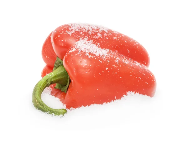 胡椒谎言在雪地上，从上面撒满了雪花，孤立在白色 — 图库照片
