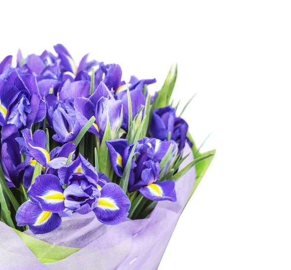 Beautiful bouquet iris — Stock Photo, Image