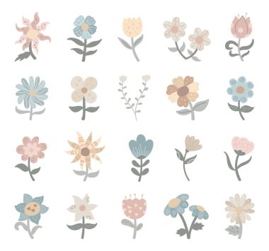 Resimleriniz için doğal bitkileri ve büyüleyici botanik unsurları gösteren, İskandinav tarzında çiçek seti, yaratıcı tasarım projeleri ve doğadan esinlenen kompozisyonları rahatlatan doğa.