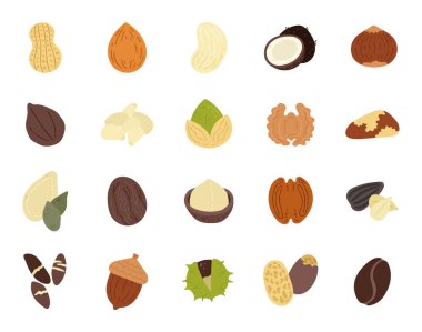 İskandinav usulü sağlıklı fındık, fıstık ve badem, ceviz, hindistan cevizi ve fındık, fıstık, fındık, kabak tohumu, hindistan cevizi, cevizi, fındık çekirdeği ve meşe palamudu, kestane, kahve çekirdeği