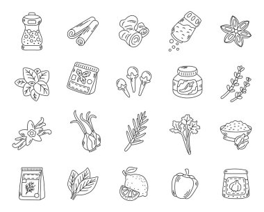 Ana hatlara yerleştirilmiş mutfak baharatı içeriği otlar, baharatlar soslar ve yemek pişirme projeleri için aromatik elementler, resimleriniz için mükemmel.