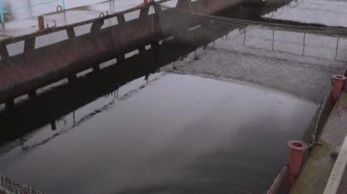 Yıldız balık çiftliği bir tatlı su Nehri üzerinde