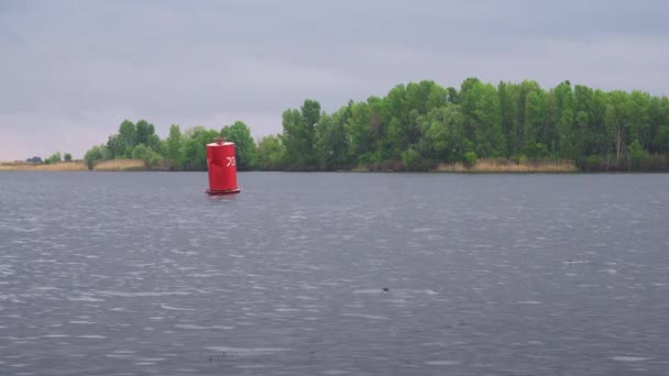 Червоне плаває на прісноводній річці — стокове відео