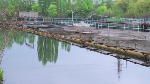 Ponton steur viskwekerij op een zoetwater-rivier — Stockvideo