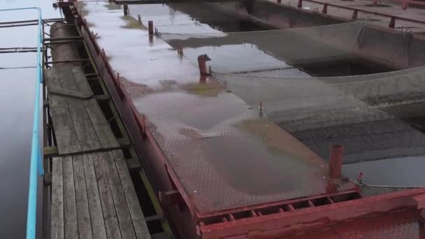 Pontoon sturgeon fish farm on a fresh water river — Stock Video