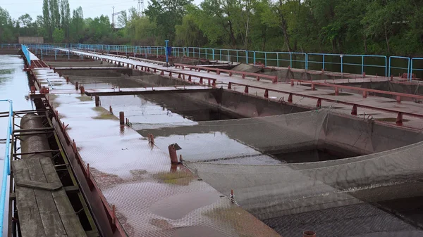 Pontoon sturgeon fish farm on a river Stock Photo